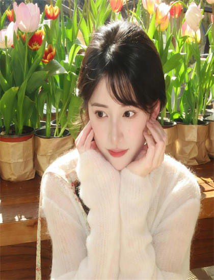 《美女献身》媒体批判评价：主流媒体观点与专业影评解读